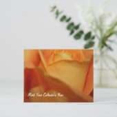 保存日付のポストカード 案内ポストカード (スタンド正面)