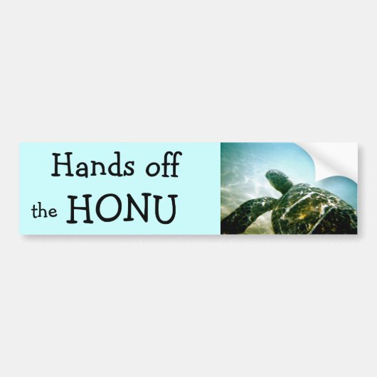 保存: ウミガメを救って下さい バンパーステッカー (正面)