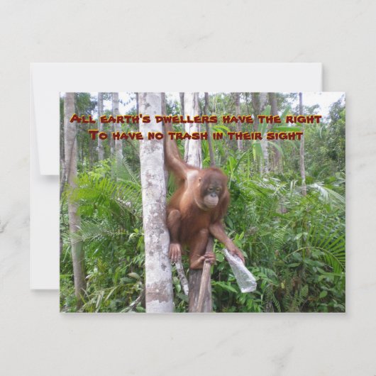 保存、プラスチック汚染なし カード (正面)