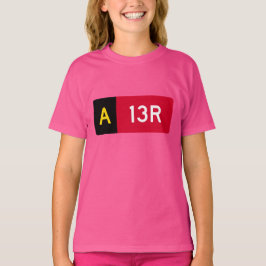 [保持ポイント記号A13R] Tシャツ