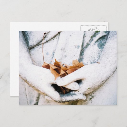 保持 ポストカード (正面/裏面)