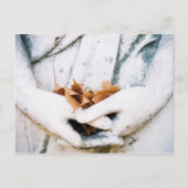 保持 ポストカード (正面)