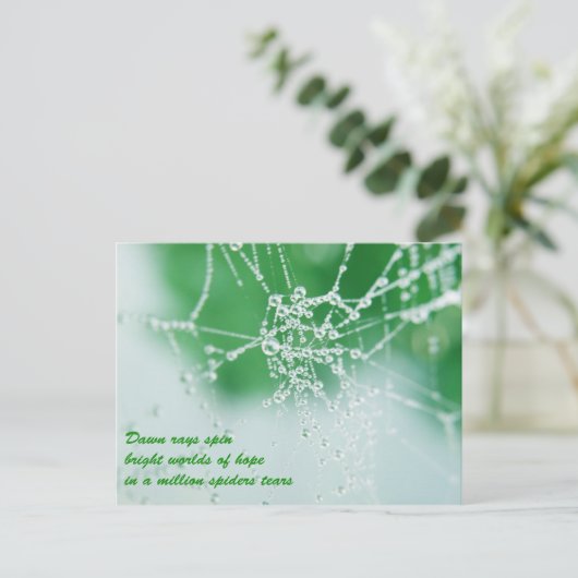 保望み ポストカード (スタンド正面)