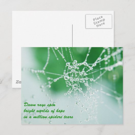 保望み ポストカード (正面/裏面)