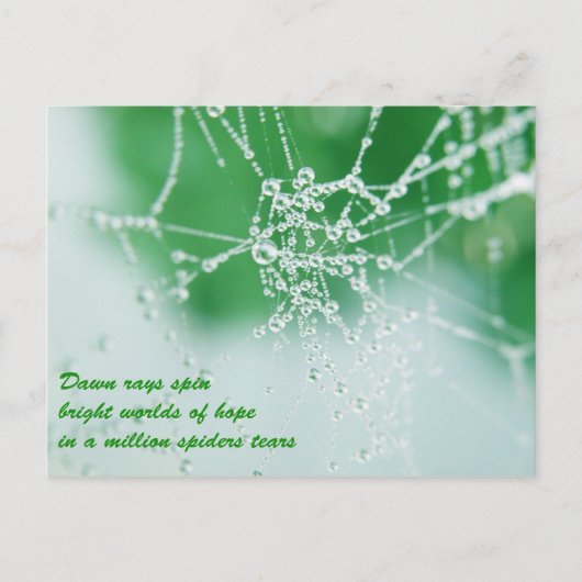 保望み ポストカード (正面)