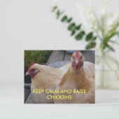 保温かく育てる鶏はがき ポストカード (スタンド正面)