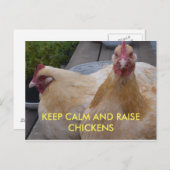 保温かく育てる鶏はがき ポストカード (正面/裏面)