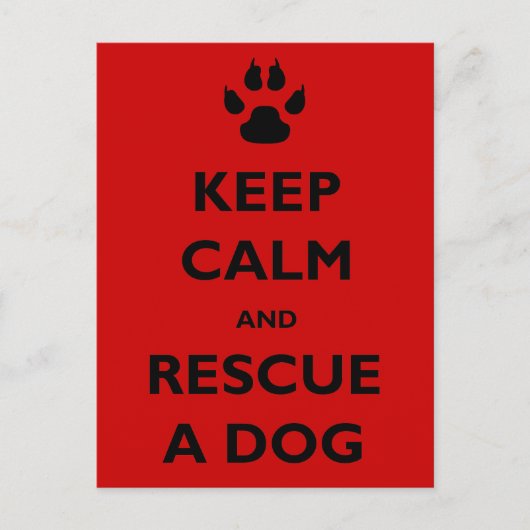 保犬 ポストカード (正面)