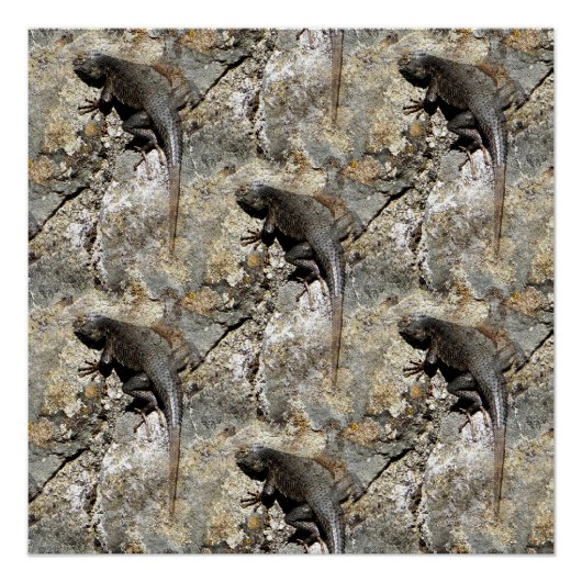 保登山..... ポスター (正面)