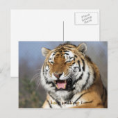 保笑い ポストカード (正面/裏面)