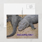 保笑うベビー! ポストカード (正面/裏面)