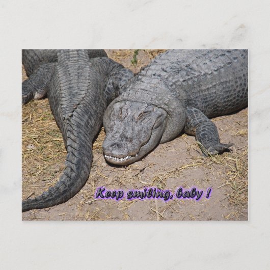 保笑うベビー! ポストカード (正面)