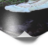 保管期間 フォトプリント            (角)