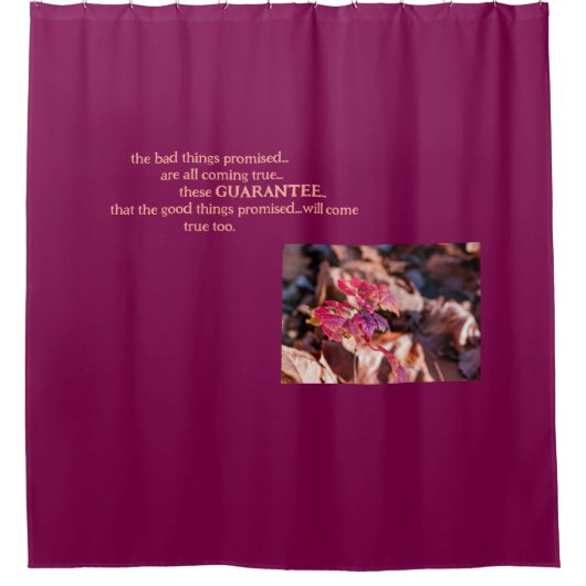 保証シャワーカーテン シャワーカーテン (正面)