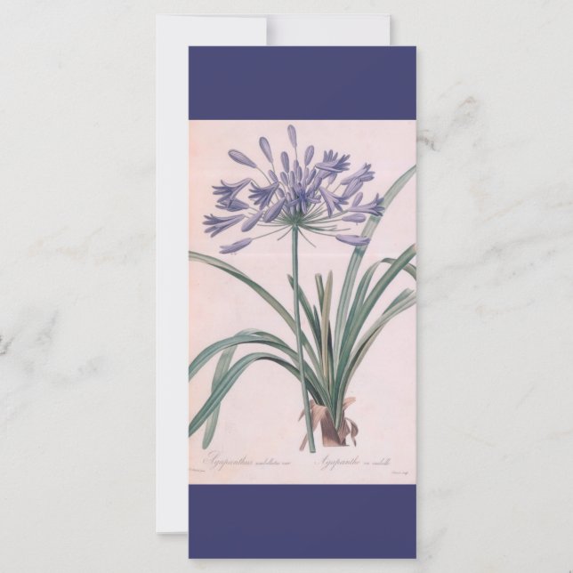 保読静とオンのボタン芸術ブックマーク (正面)