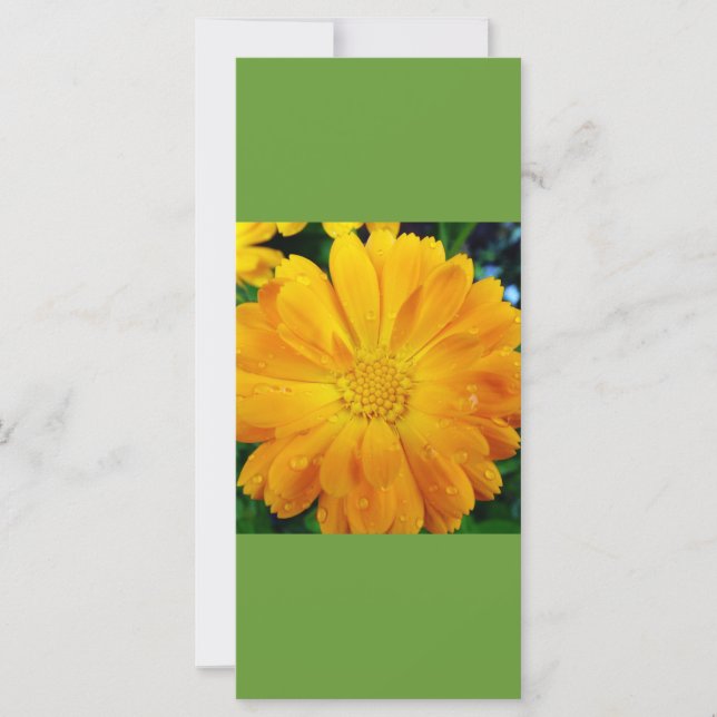 保読静とオン、黄色のデイジーブックマーク (正面)