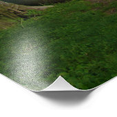 「保護が残る」 フォトプリント            (角)