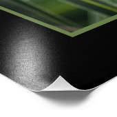 保護こうもりの写真の拡大 フォトプリント            (角)