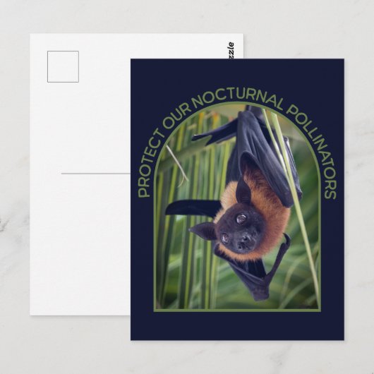 保護こうもり ポストカード (正面/裏面)