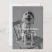 保護されたペットの養子縁組の写真の発表 招待状 (正面)