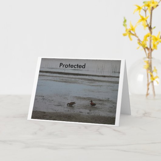 保護される カード (黄色い花)