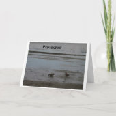 保護される カード (正面)