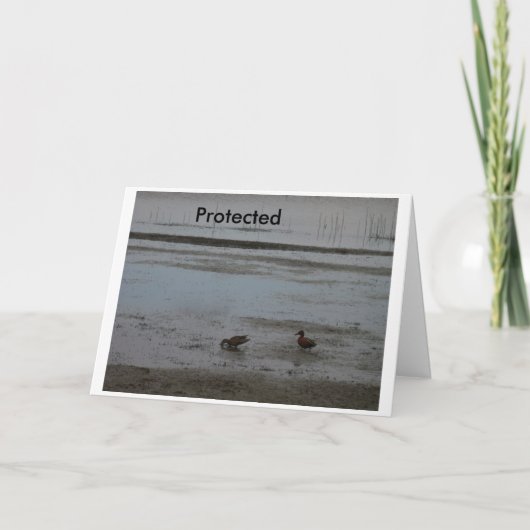 保護される カード (正面)
