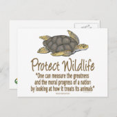 保護ウミガメ ポストカード (正面/裏面)