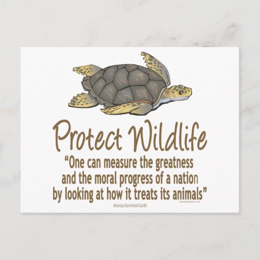 保護ウミガメ ポストカード (正面)