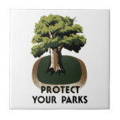 保護公園 タイル (正面)