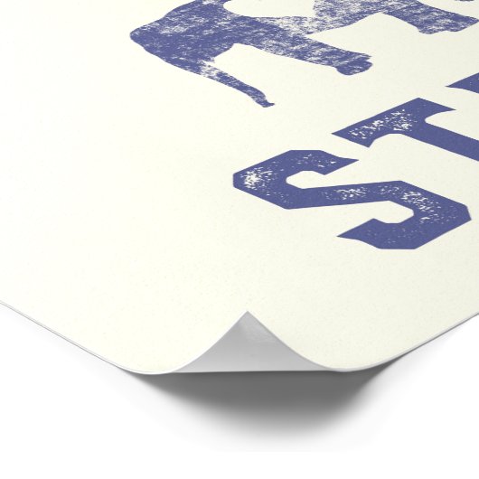 保護動物 ポスター (角)