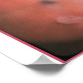 保護守 ポスター (角)