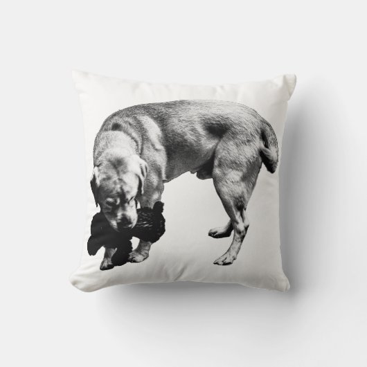 保護曲線 クッション (正面)