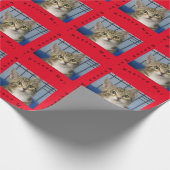 保護猫ギフト包装紙 ラッピングペーパー (角)