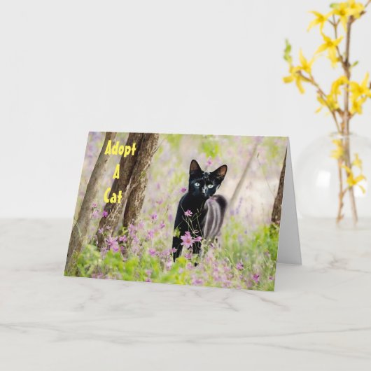 保護猫シェルターの動物　野良猫ＰＳＡカード　を養子に迎えましょう カード (黄色い花)