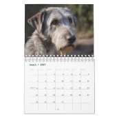 保護的な日：毎月の犬 カレンダー (3月 2027)