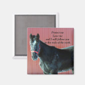 保護磁石 マグネット (正面/裏面)