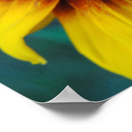 保護美しい ポスター (角)