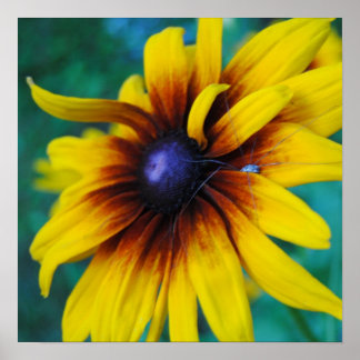 保護美しい ポスター