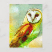 保護者のフクロウ ポストカード (正面)