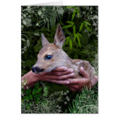 「保護」 (正面)