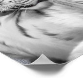 保護 ポスター (角)