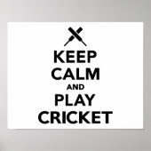 保遊Cricket ポスター (正面)