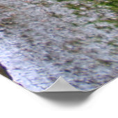 保野保野オーキズ ポスター (角)