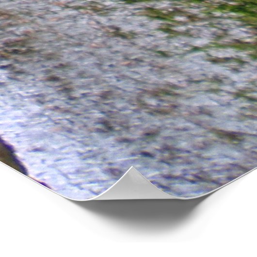 保野保野オーキズ ポスター (角)