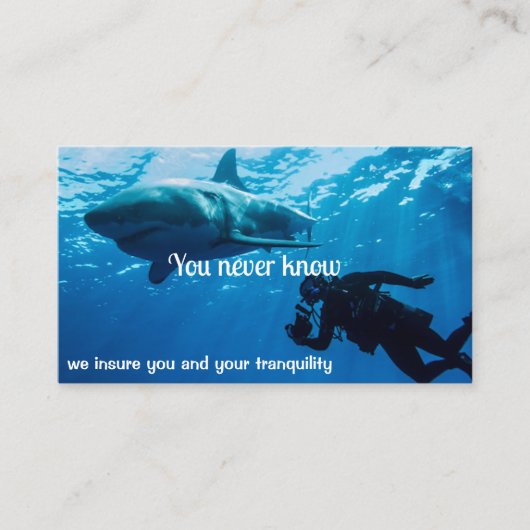 保険コンサルタント保険代理店事業Ca 名刺 (正面)