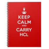 保静と運HCl ノートブック (正面)