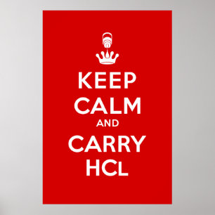 保静と運HCl ポスター