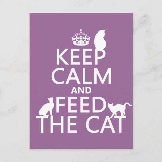 保食べ物を与え猫 ポストカード (正面)
