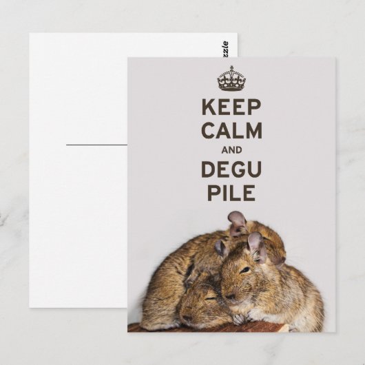 保CalmとDegu杭 ポストカード (正面/裏面)